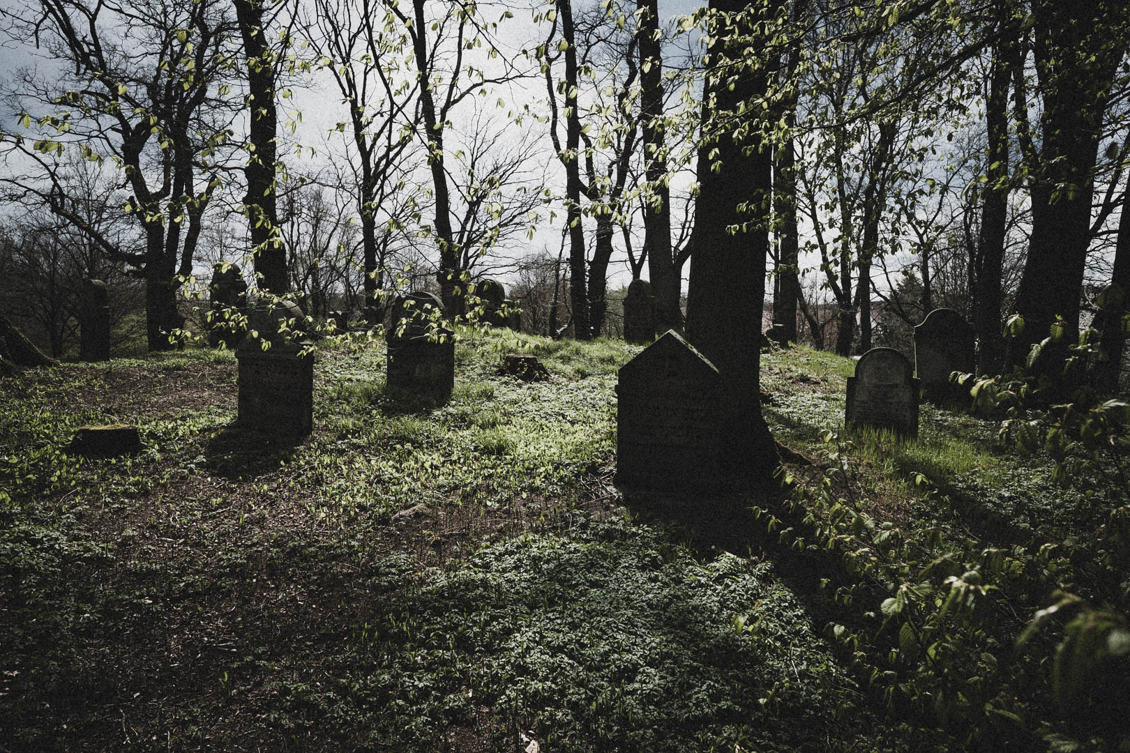 Rhoden (Diemelstadt)